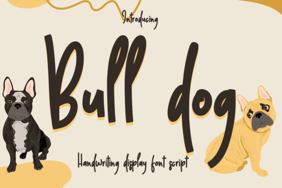 Bull Dog Script Font for Modern Web Design