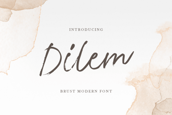 Dilem Script Font: Elegant Typography for Handmade Crafts and Labels