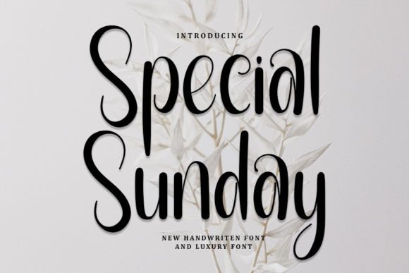 Special Sunday Typeface: Elevating Campaign Visuals with Handwritten Elegance